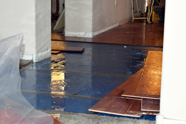 Professional Water Damage Restoration technician working in Macatawa, MI